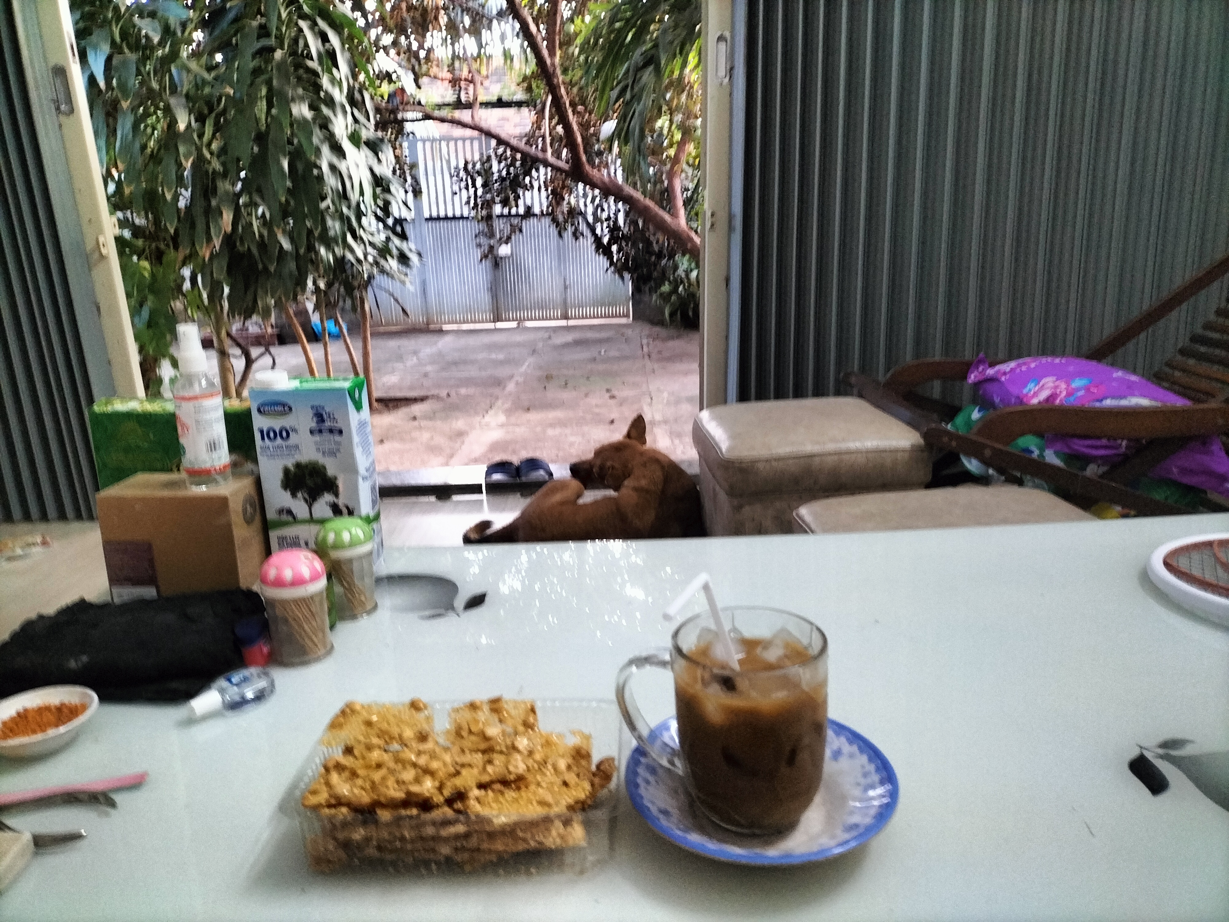 IMG20221221171005.jpg