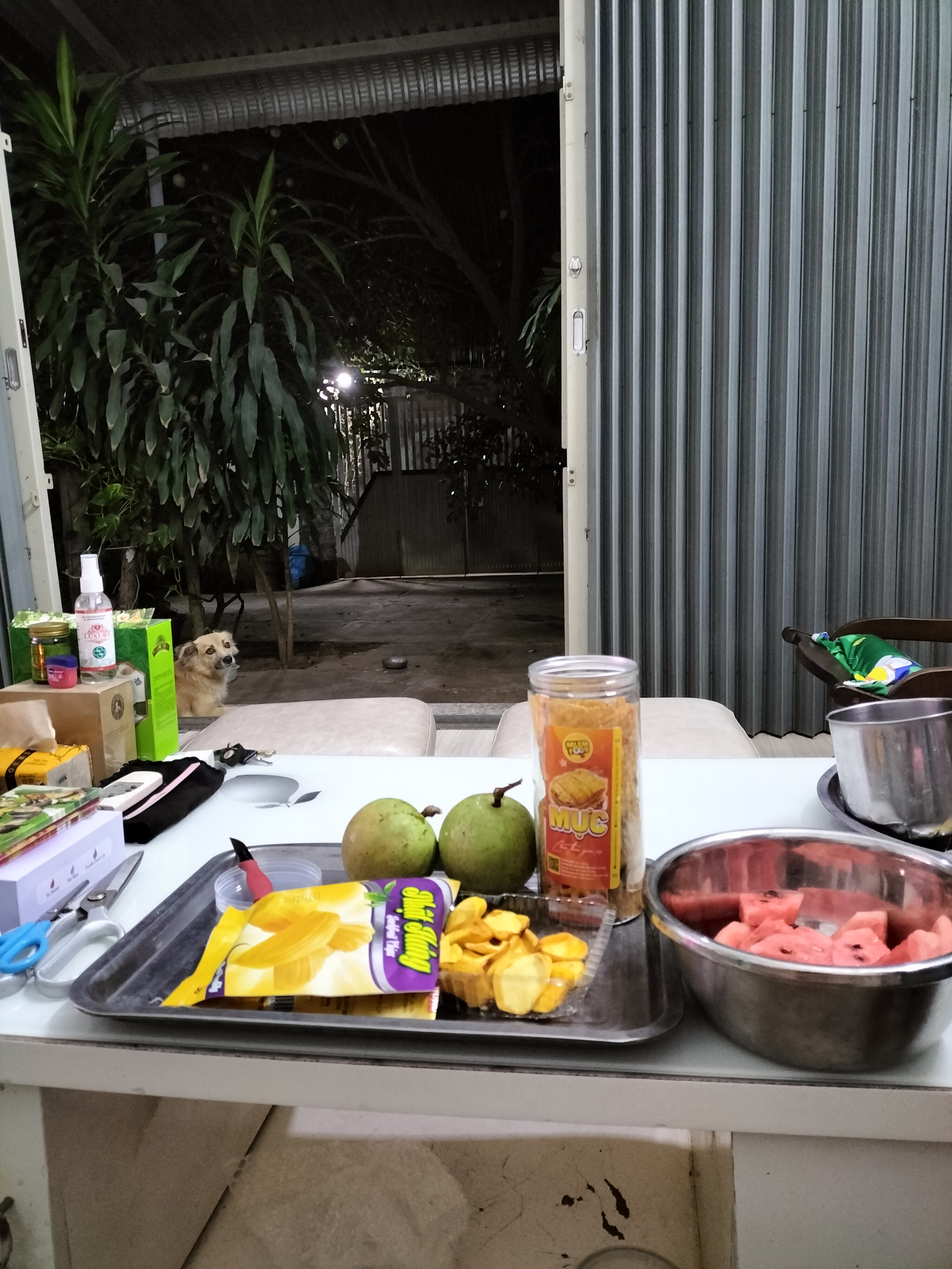 IMG20230112191049.jpg