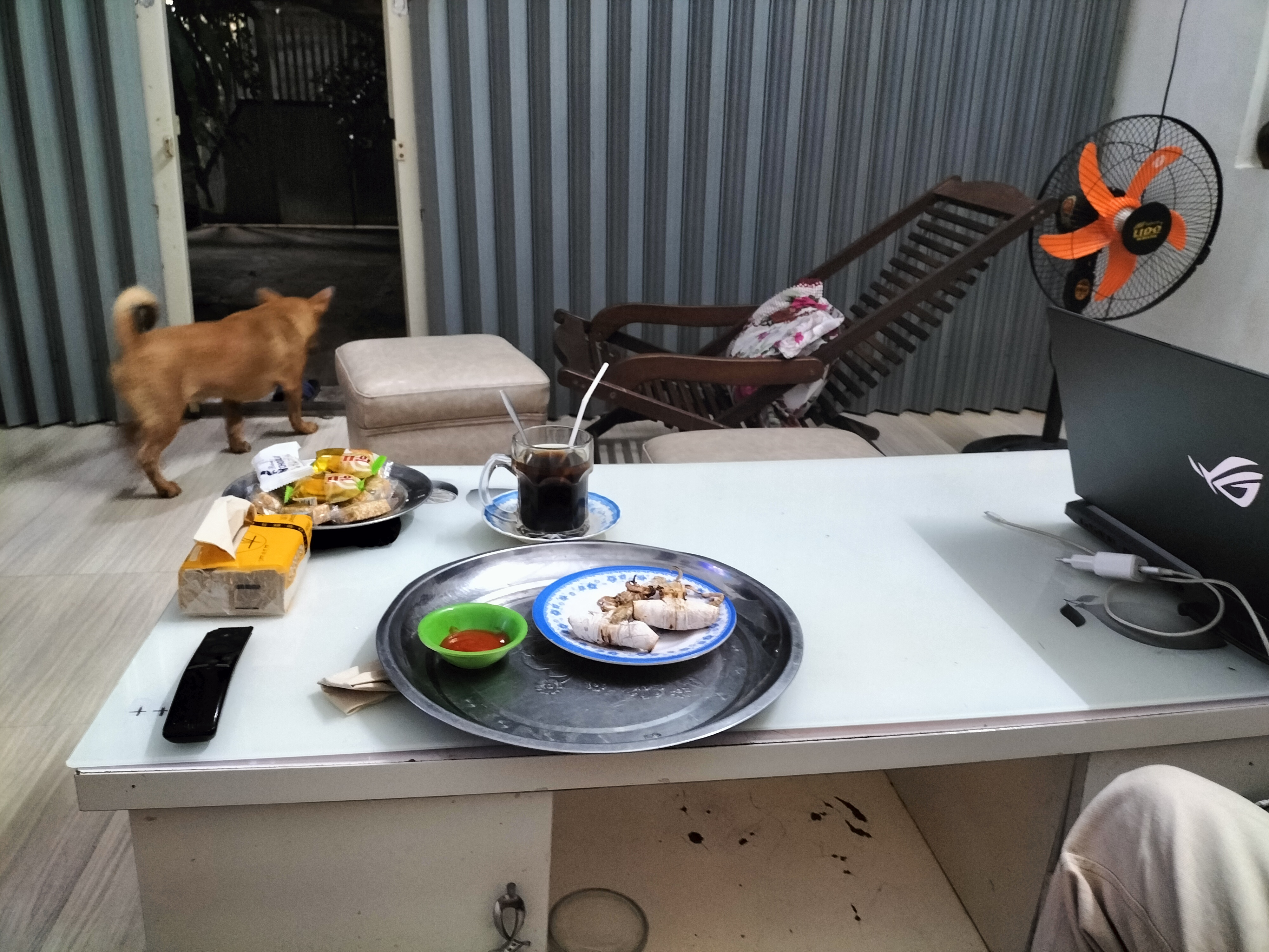 IMG20230116214200.jpg