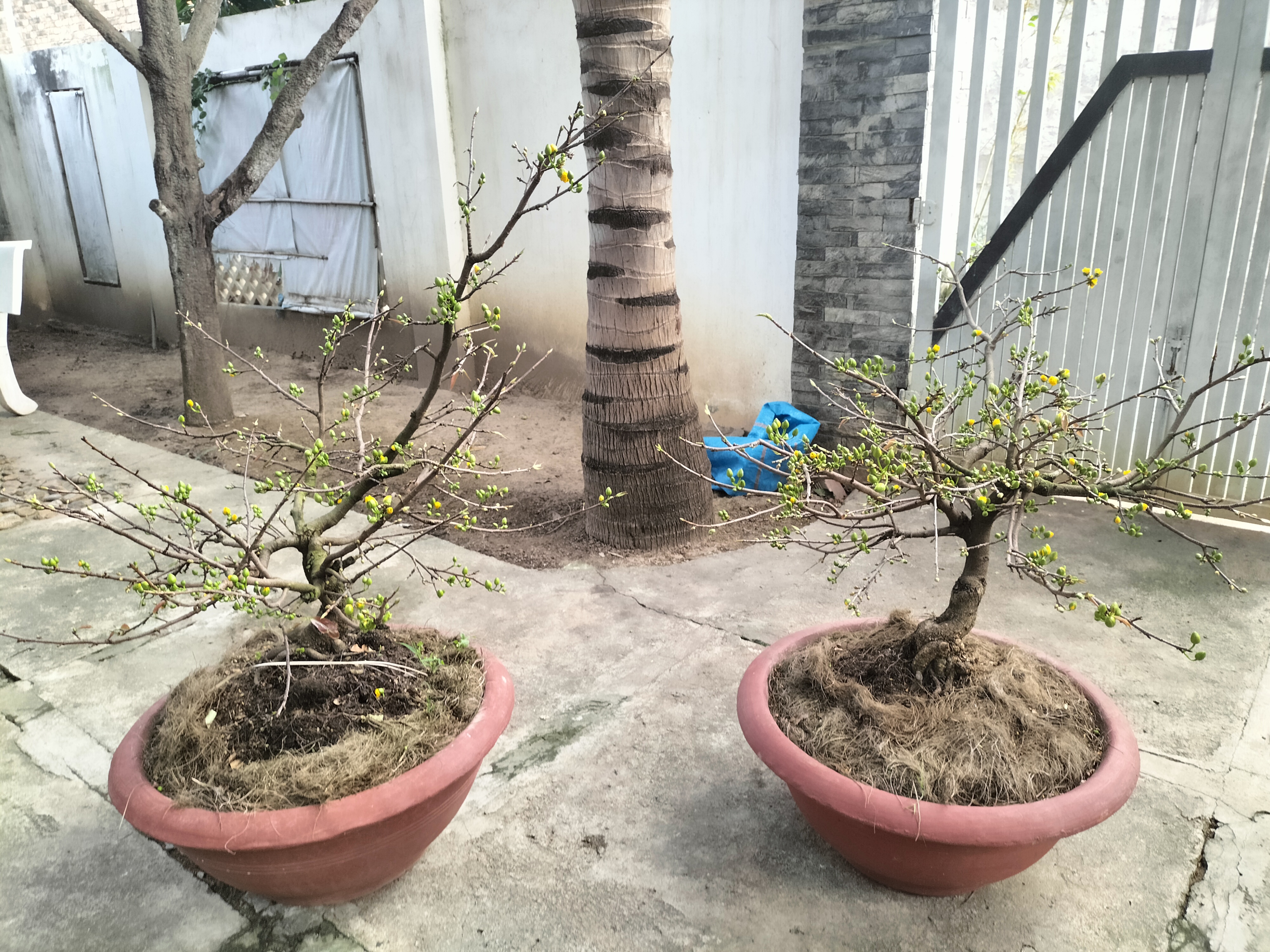IMG20230120154049.jpg