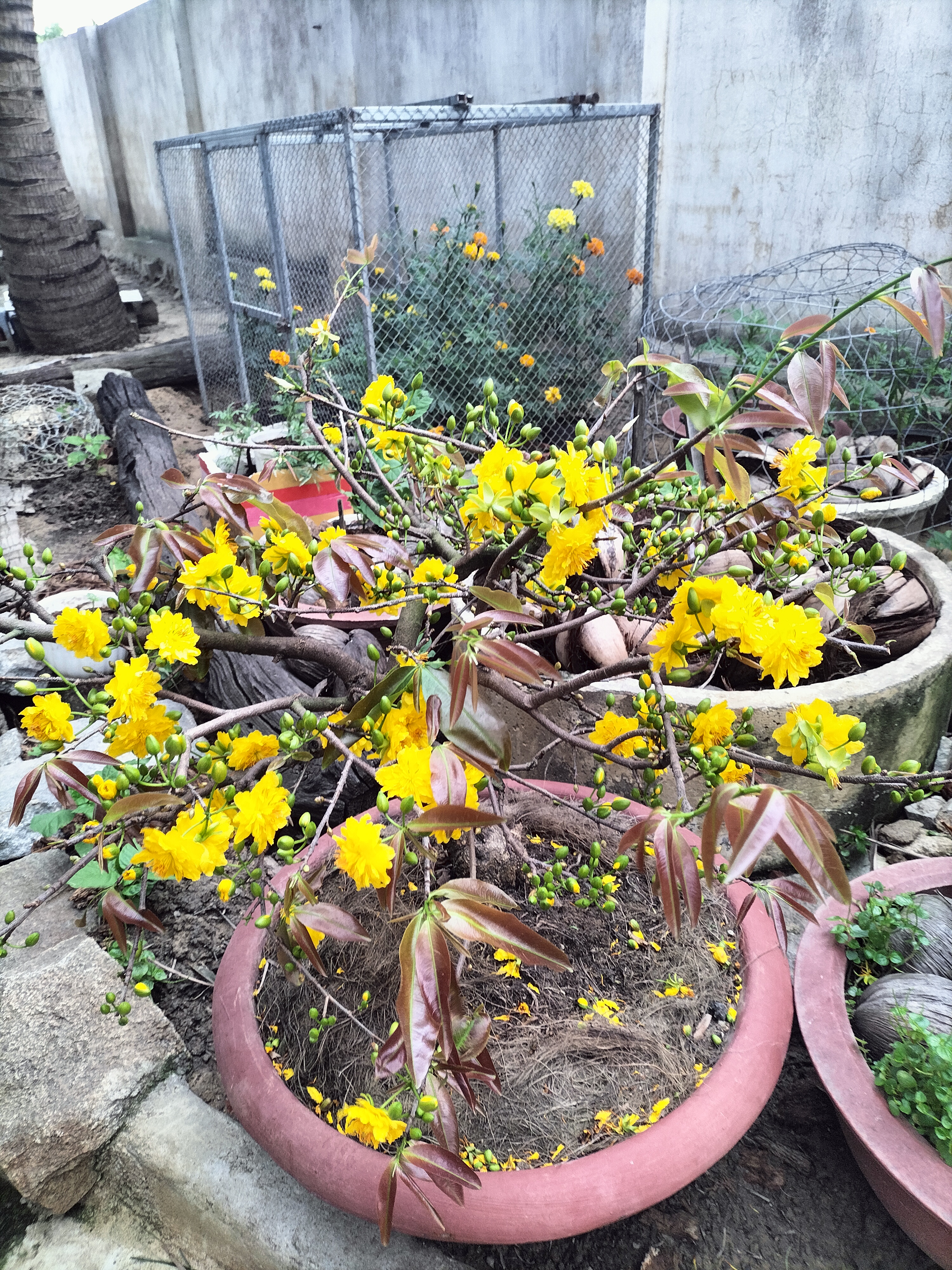 IMG20230125164512.jpg