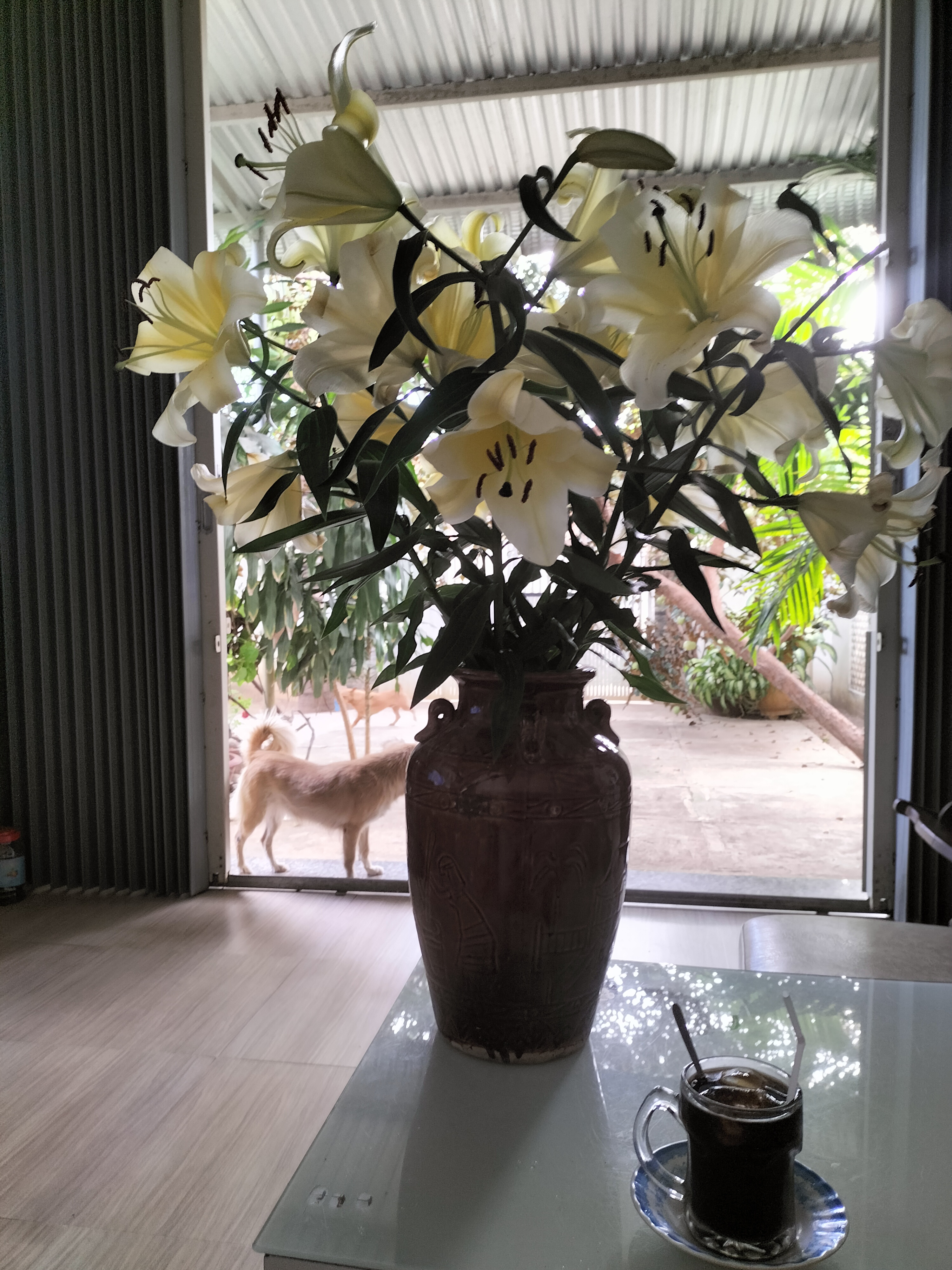 IMG20230127143814.jpg