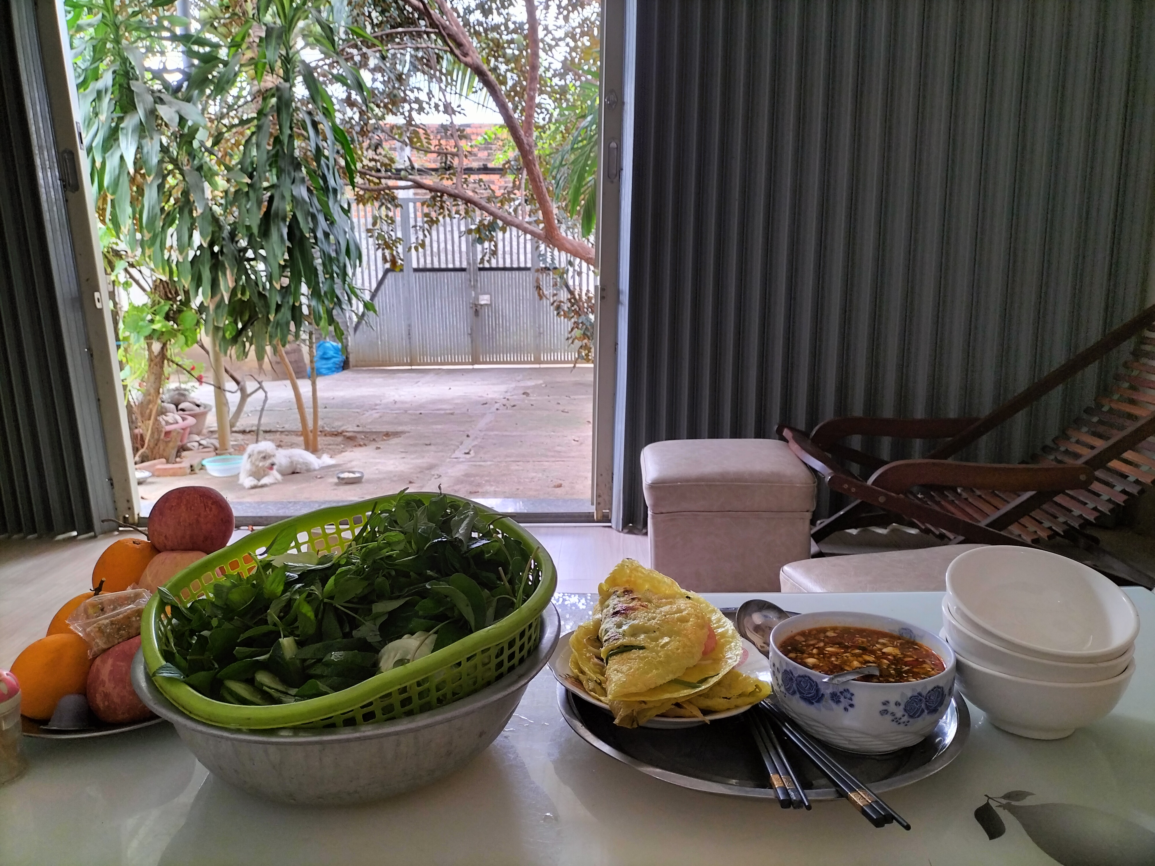 IMG20230201124150.jpg