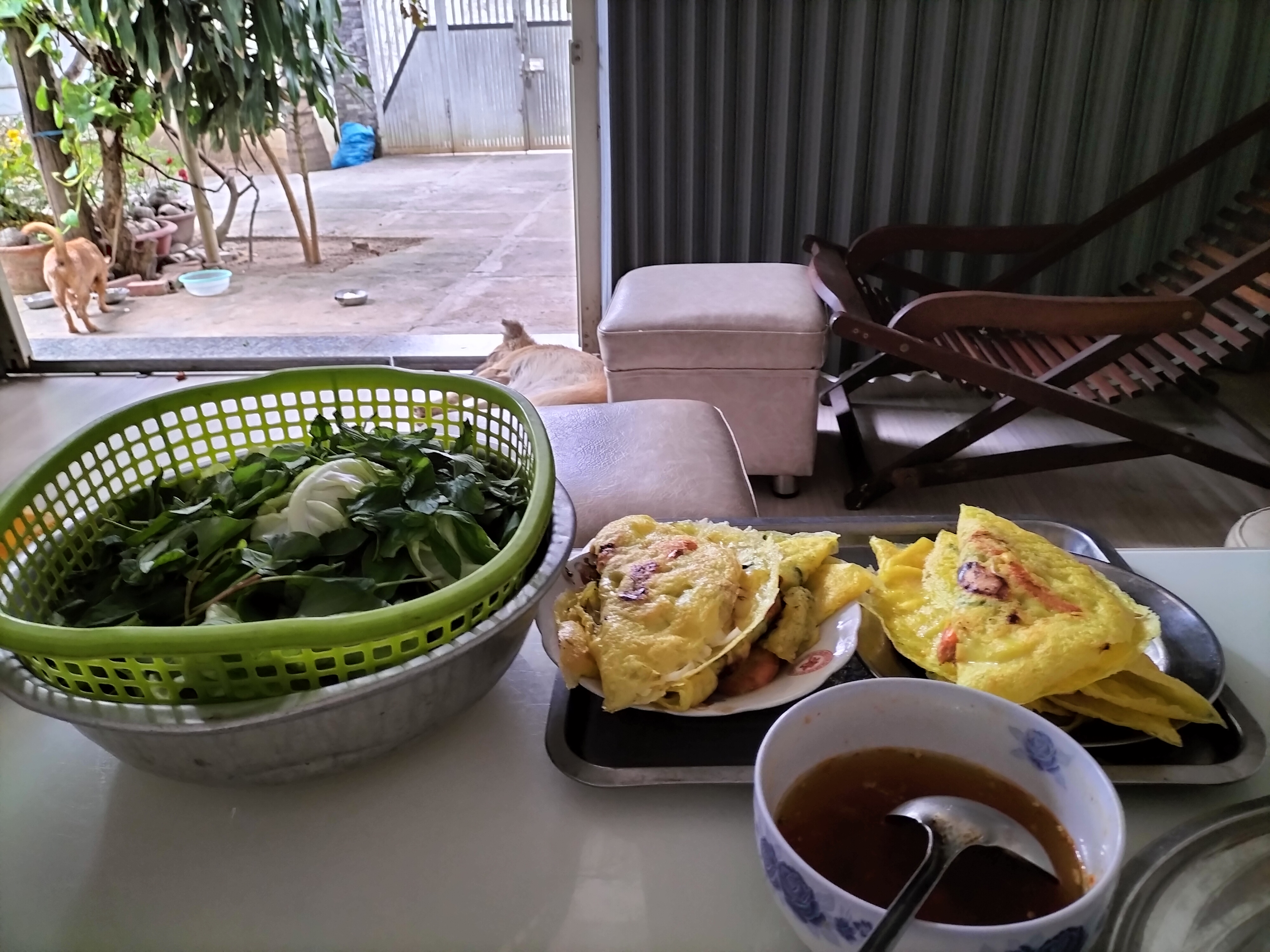 IMG20230201140041.jpg