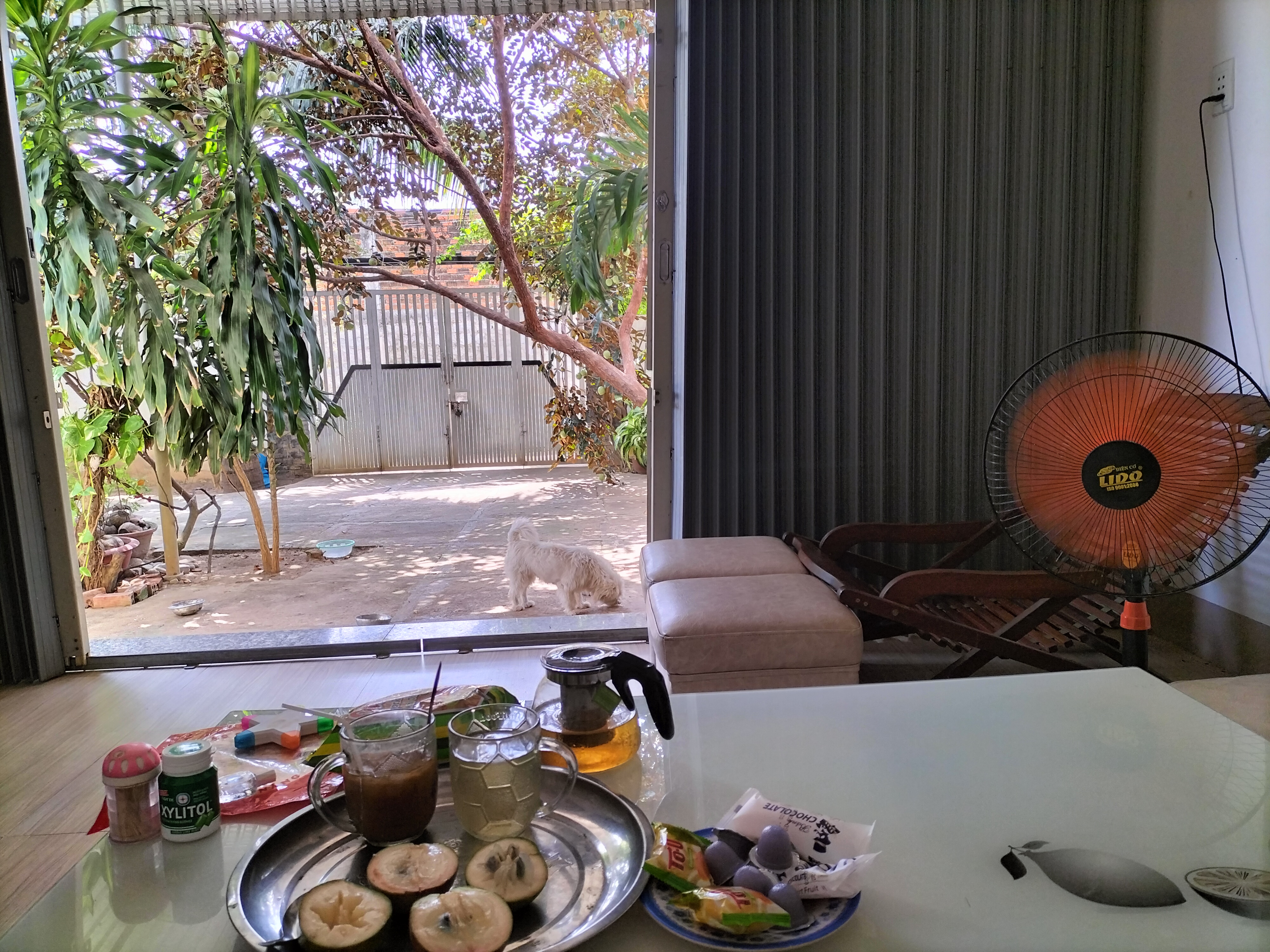 IMG20230210114534.jpg