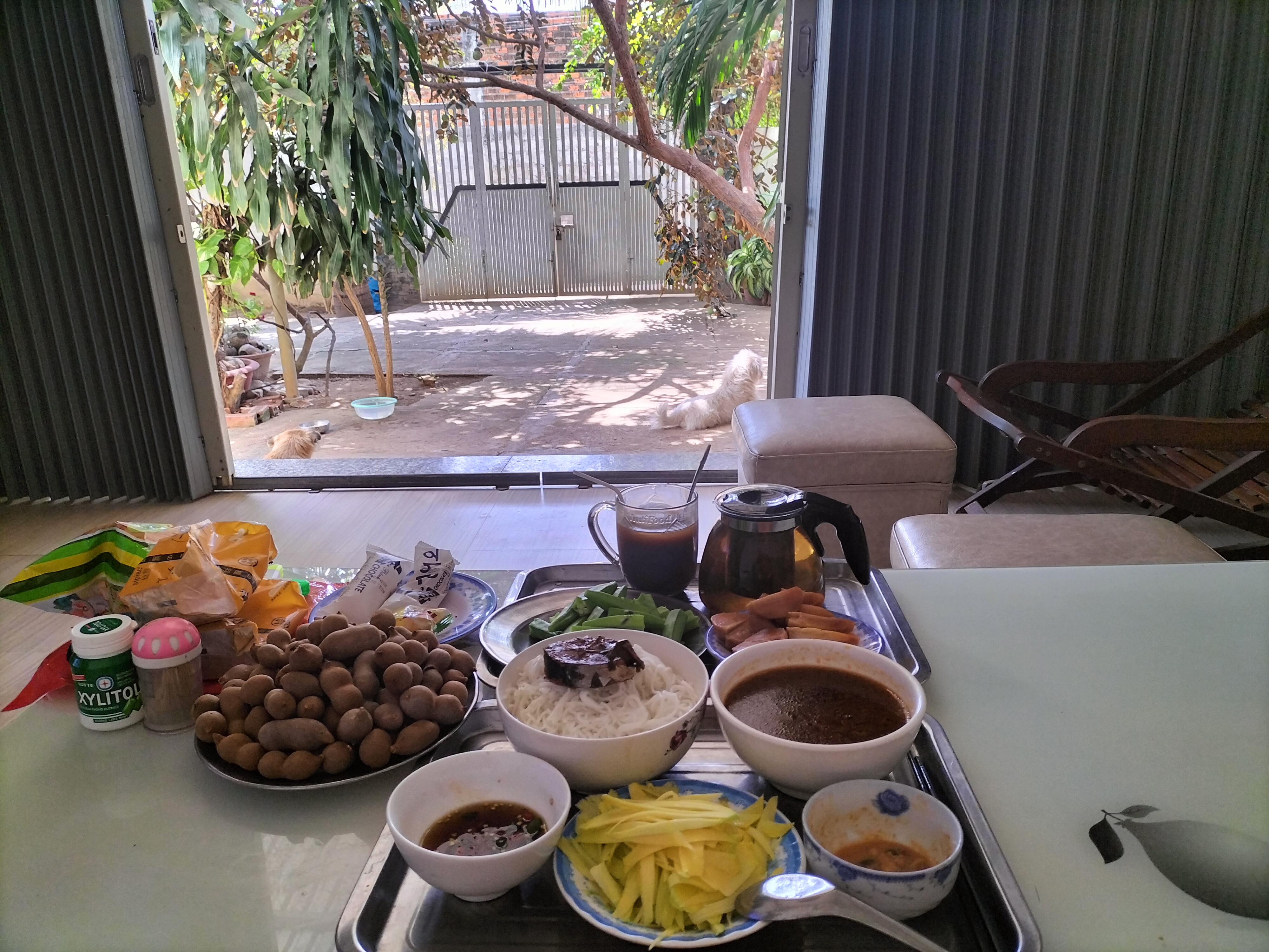 IMG20230212115555.jpg