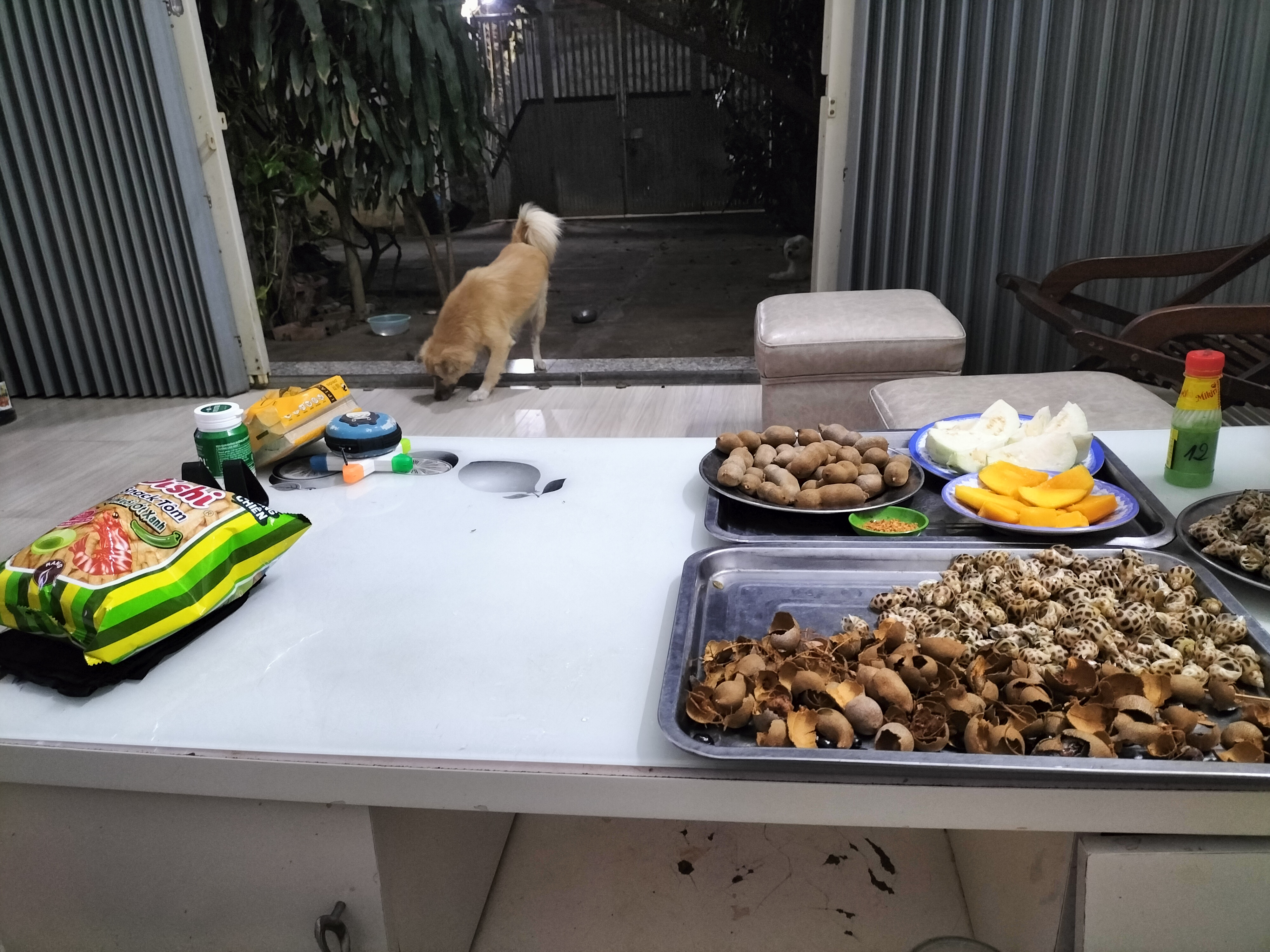 IMG20230213193147.jpg