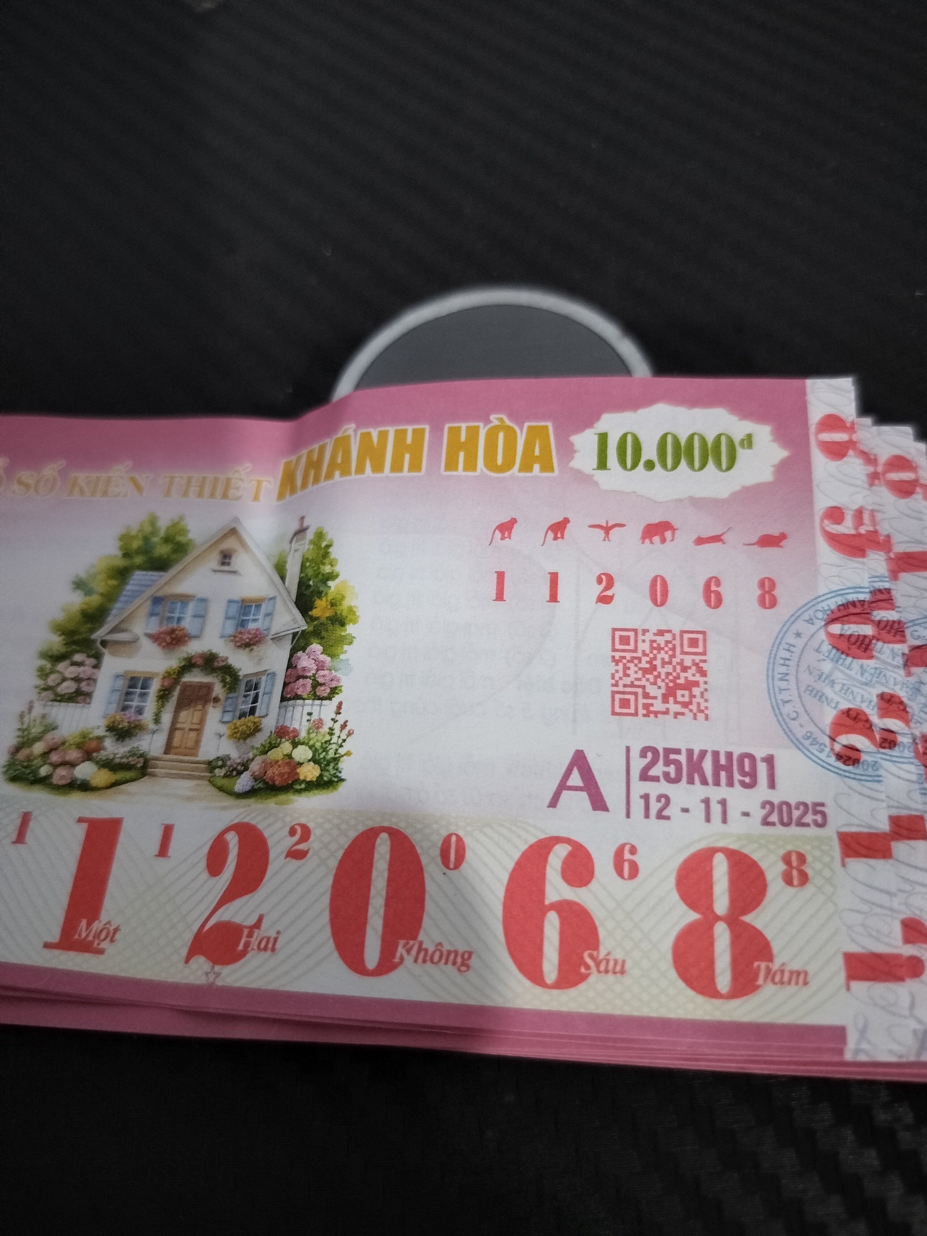 IMG20251112172227.jpg