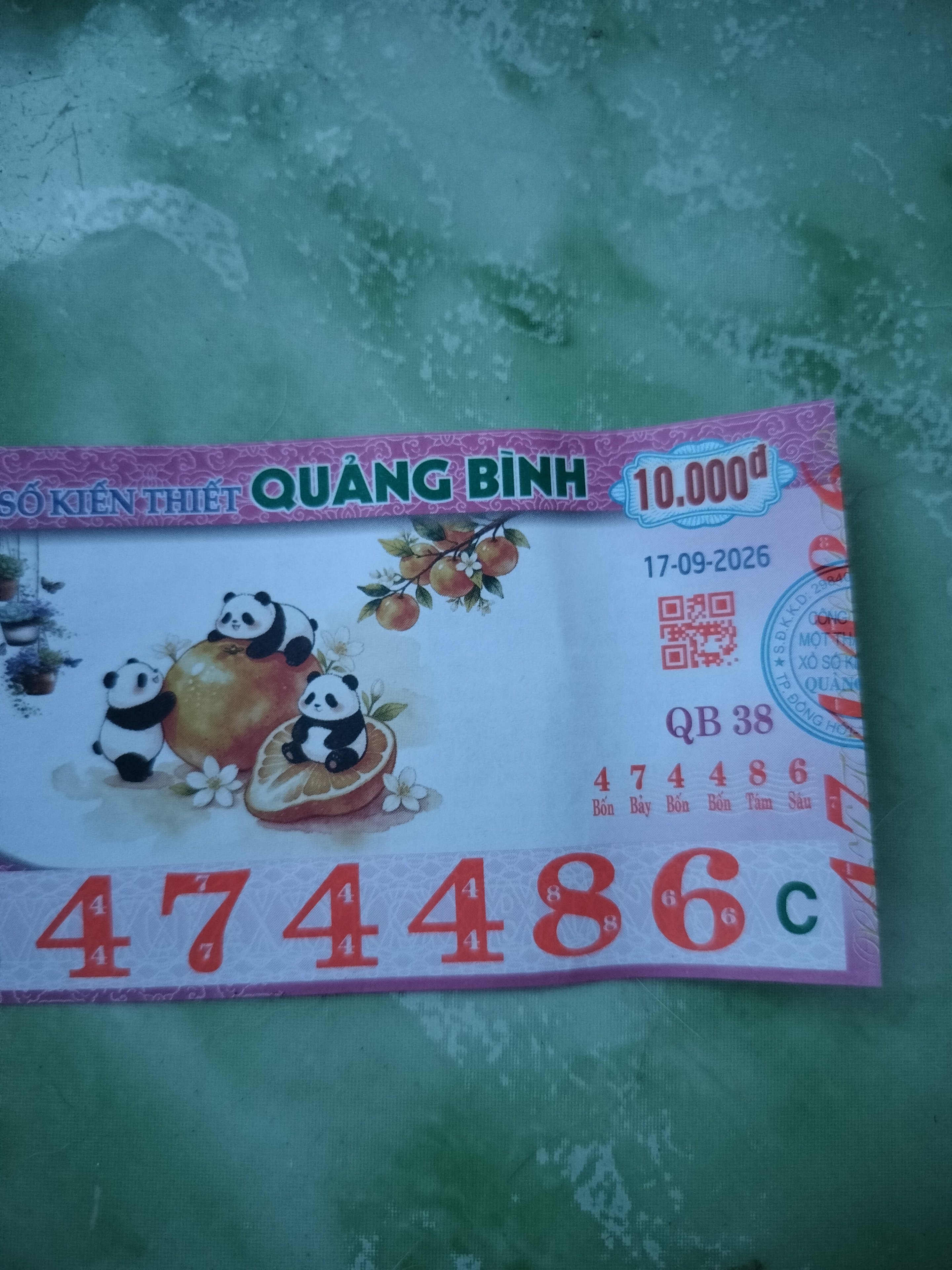 IMG20260917173317.jpg