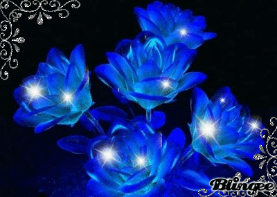 IMG_0157.GIF