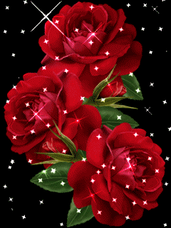 IMG_0161.GIF