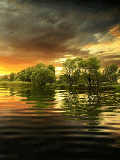 IMG_0163.GIF