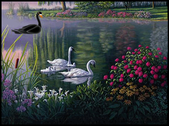 IMG_0170.GIF