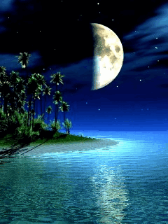 IMG_0201.GIF