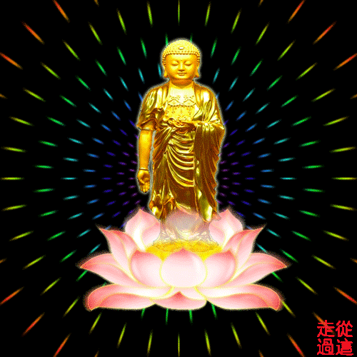 IMG_0207.GIF