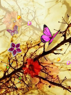IMG_0208.GIF