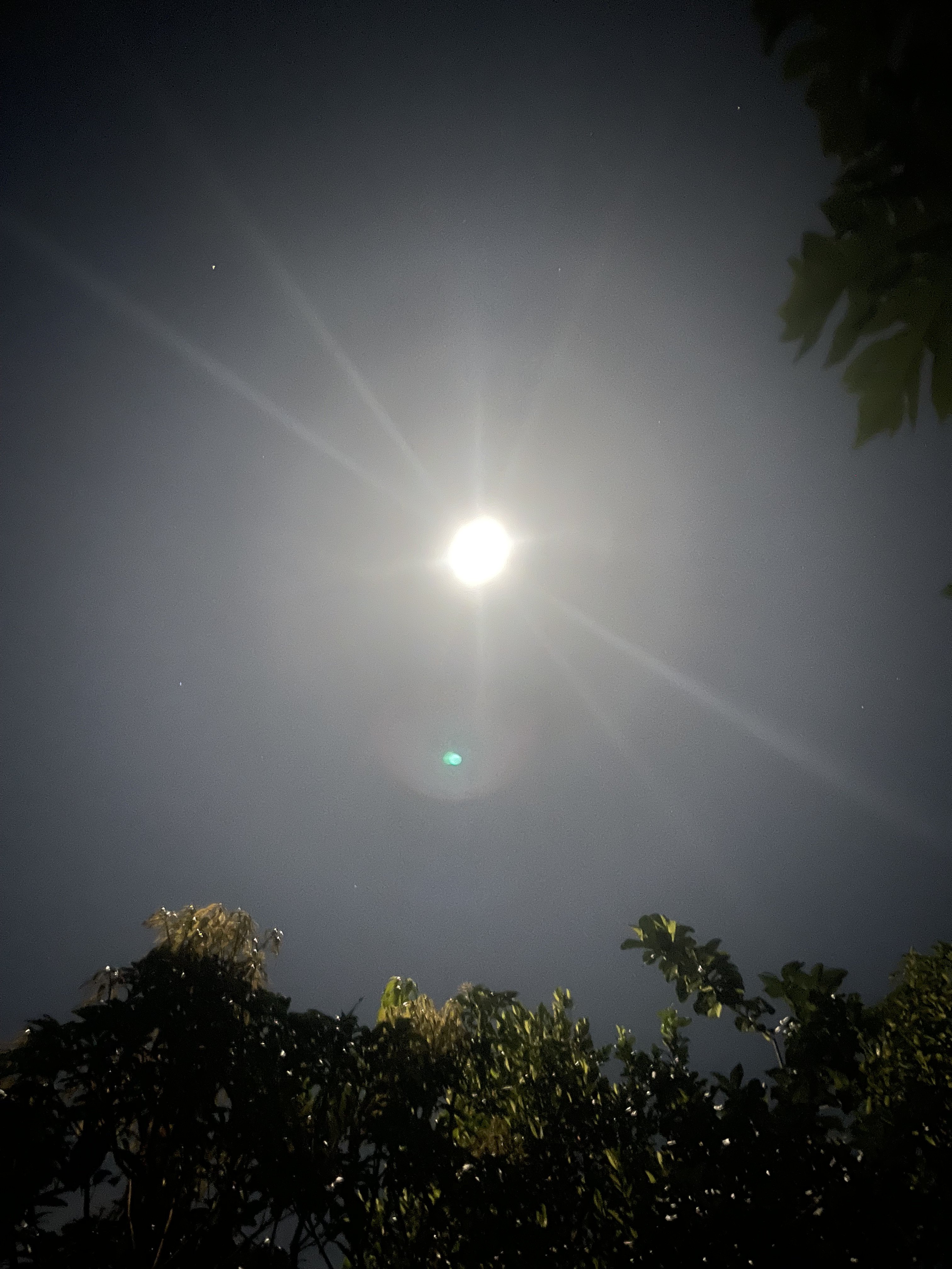 IMG_0652.jpeg