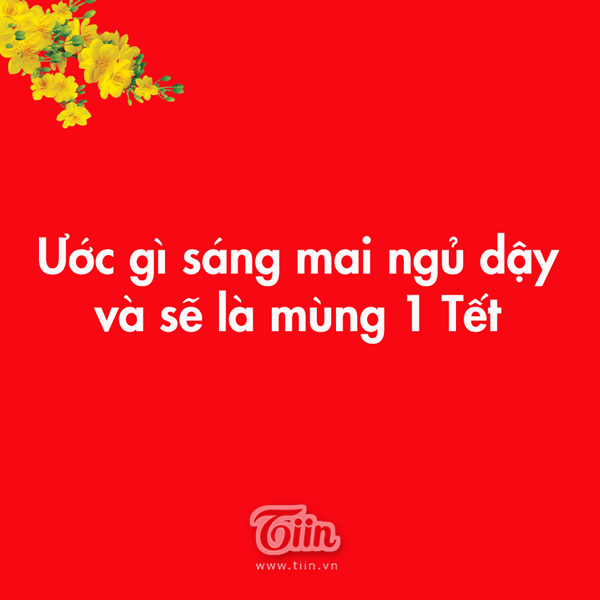 IMG_0656.PNG