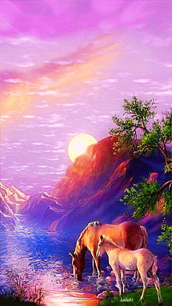 IMG_0713.GIF