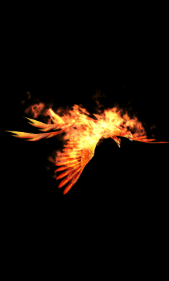 IMG_0754.GIF