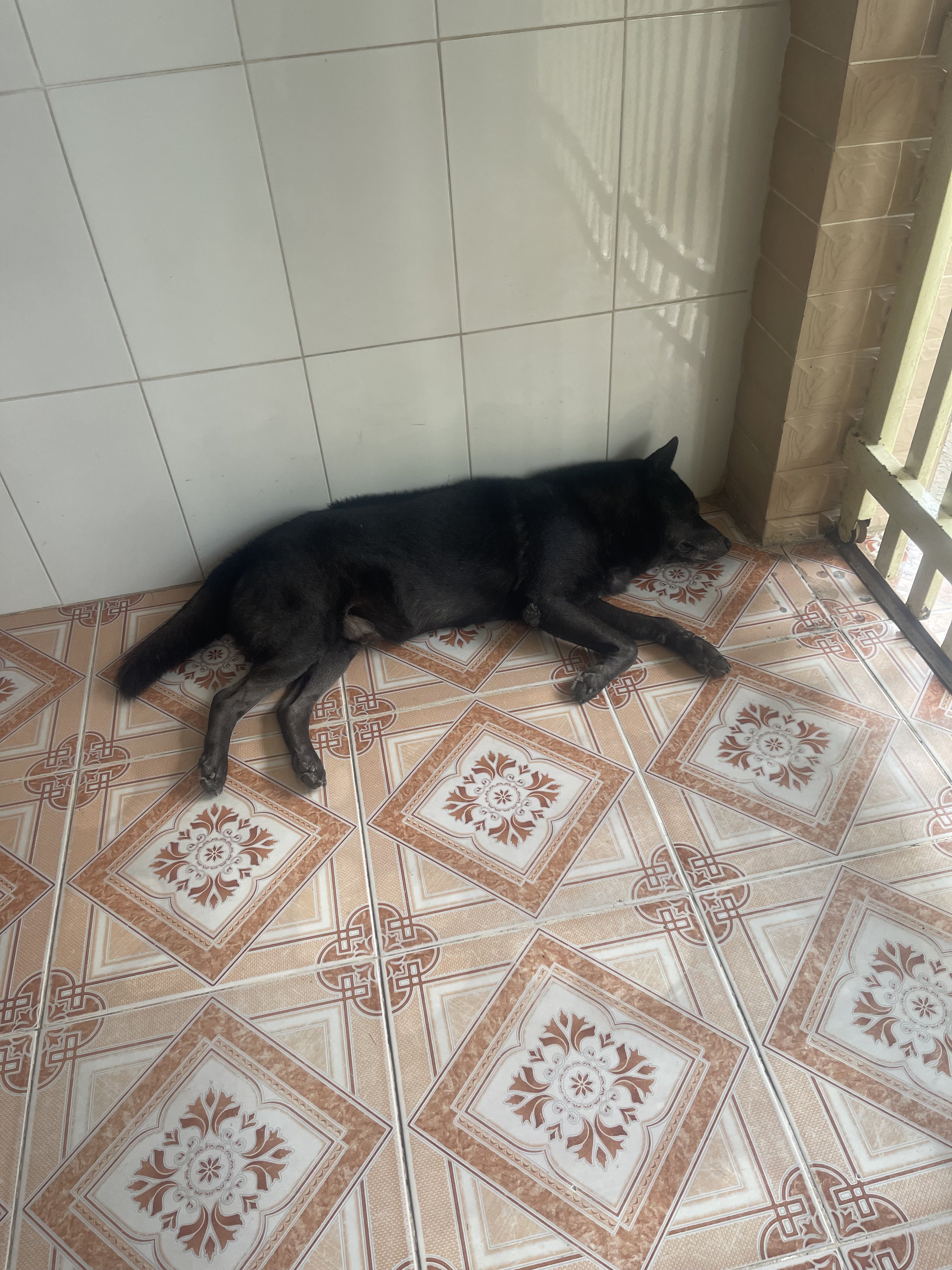 IMG_0854.jpeg