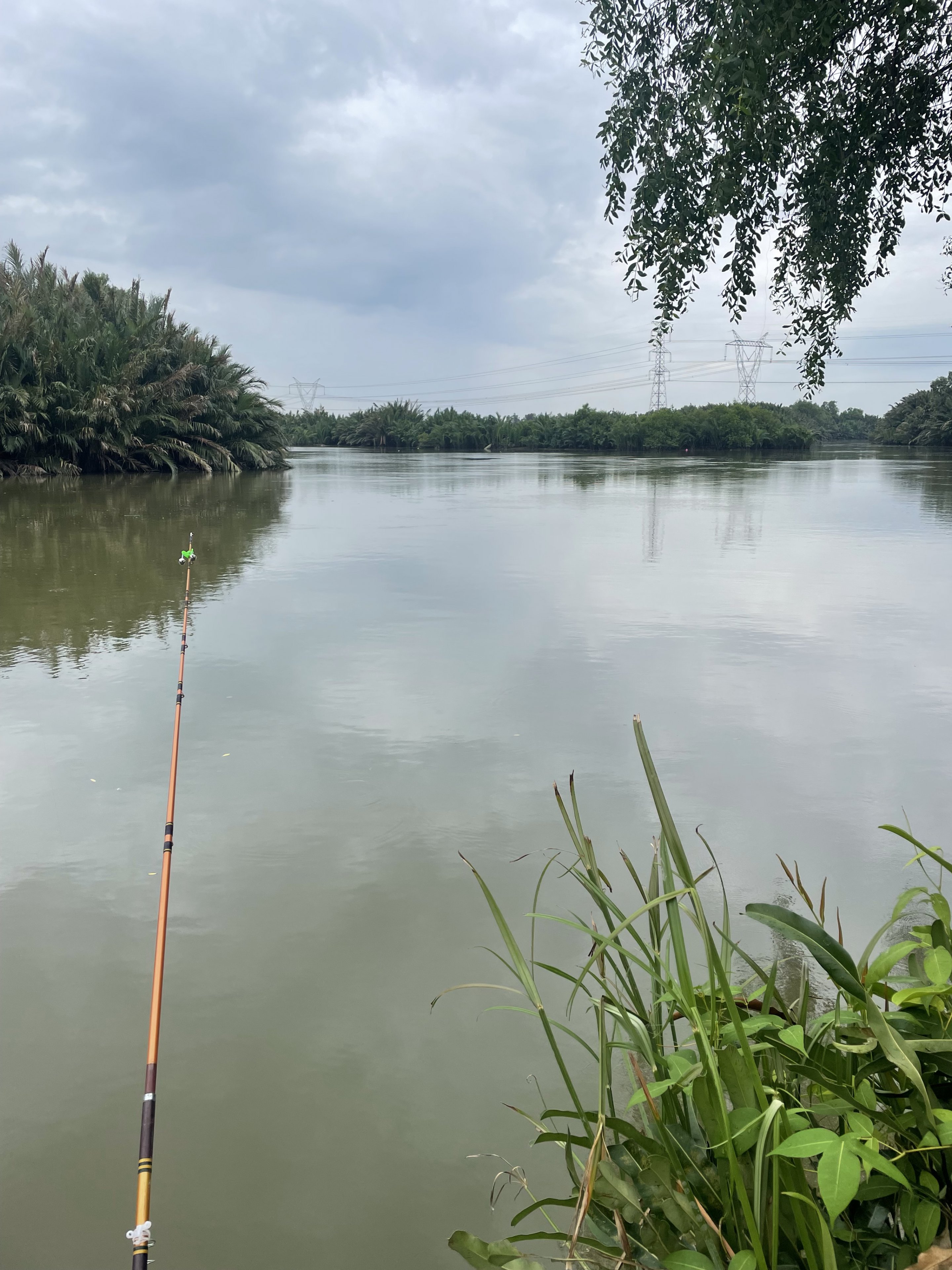 IMG_0870.jpeg