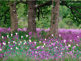 IMG_0896.GIF