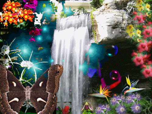 IMG_0959.GIF