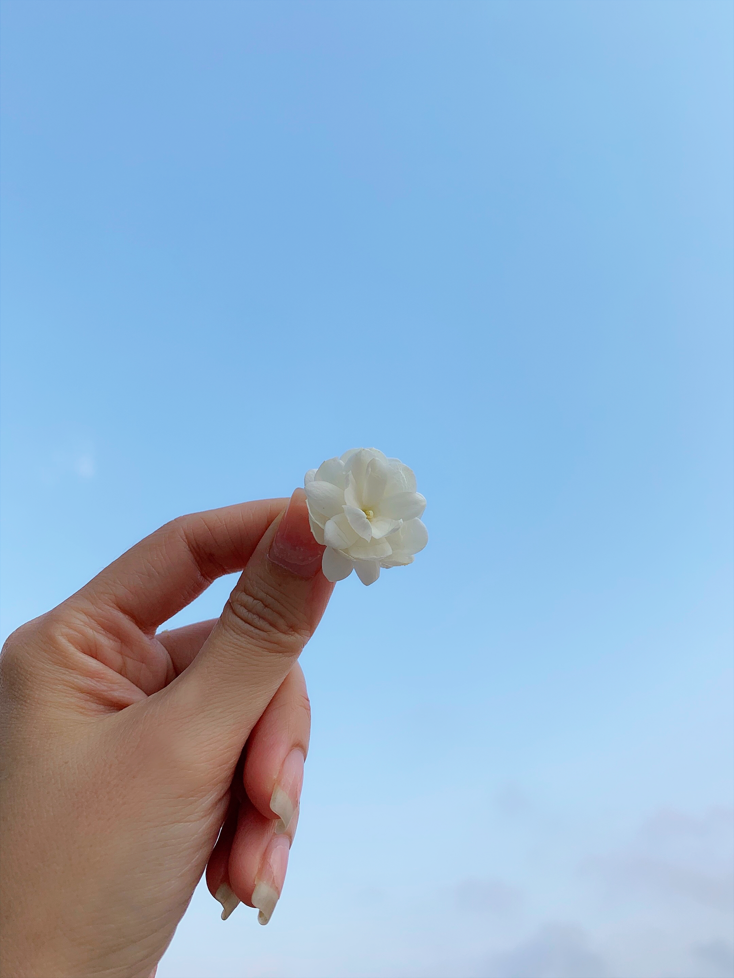 IMG_1166.PNG