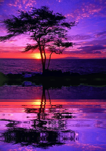img_1373653687_304[1].gif