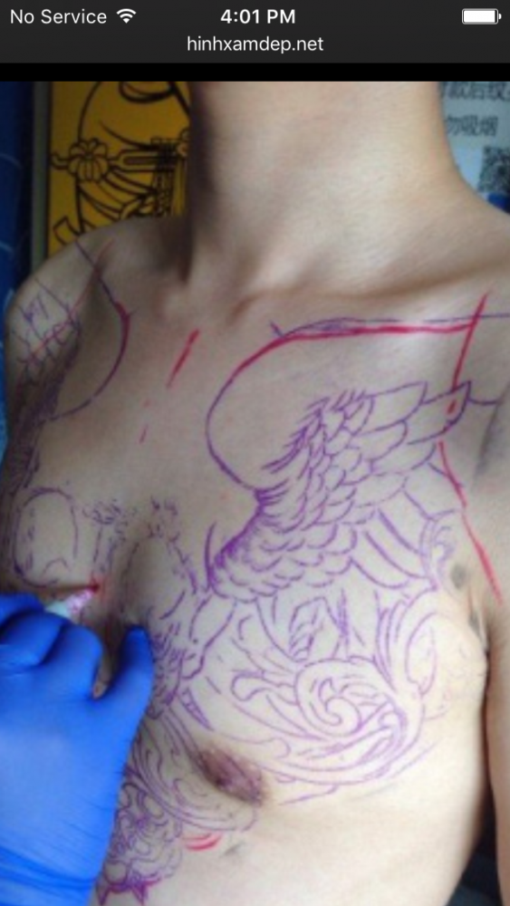 IMG_1401.PNG