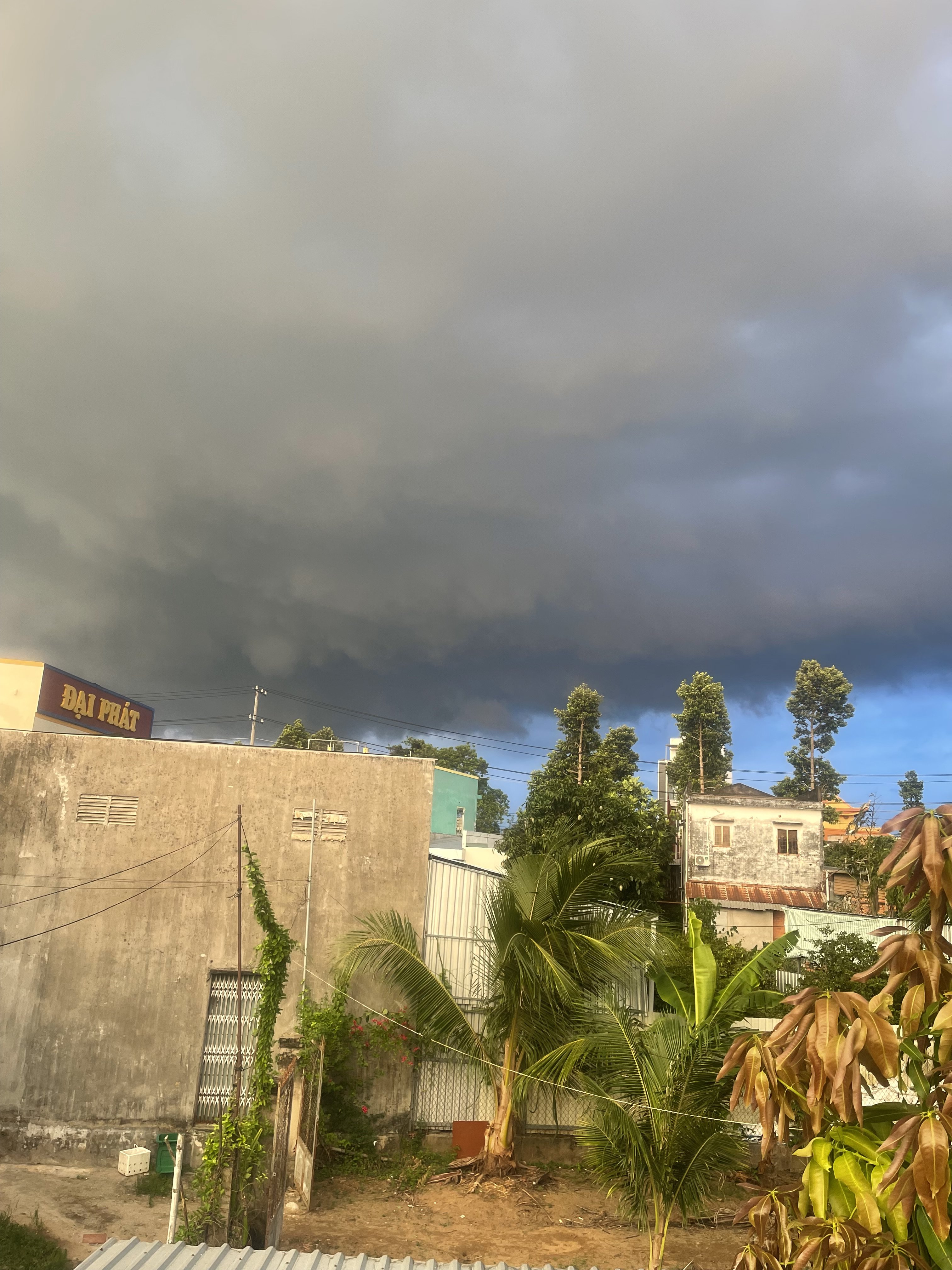 IMG_1495.jpeg