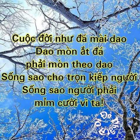 IMG_20160504_111155.jpg