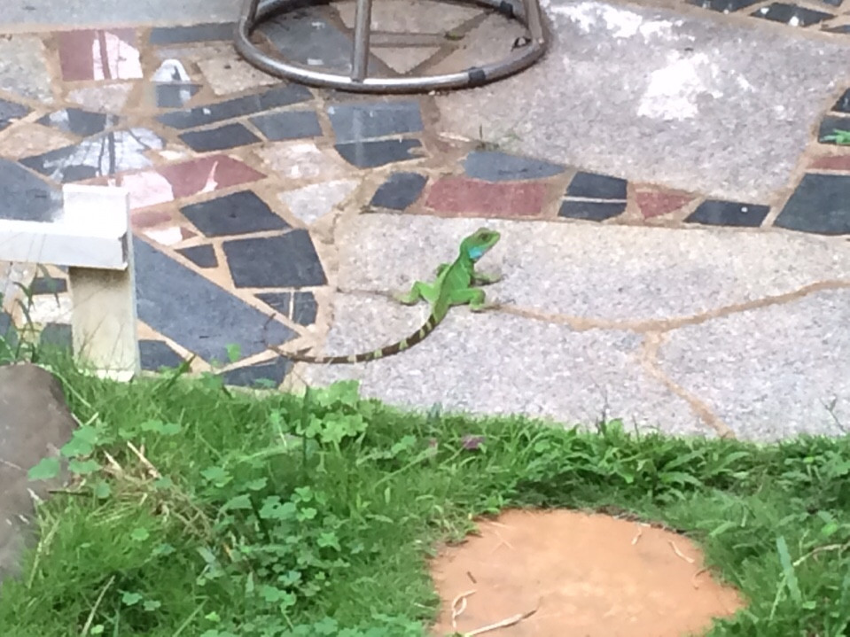 IMG_20160601_162030.jpg
