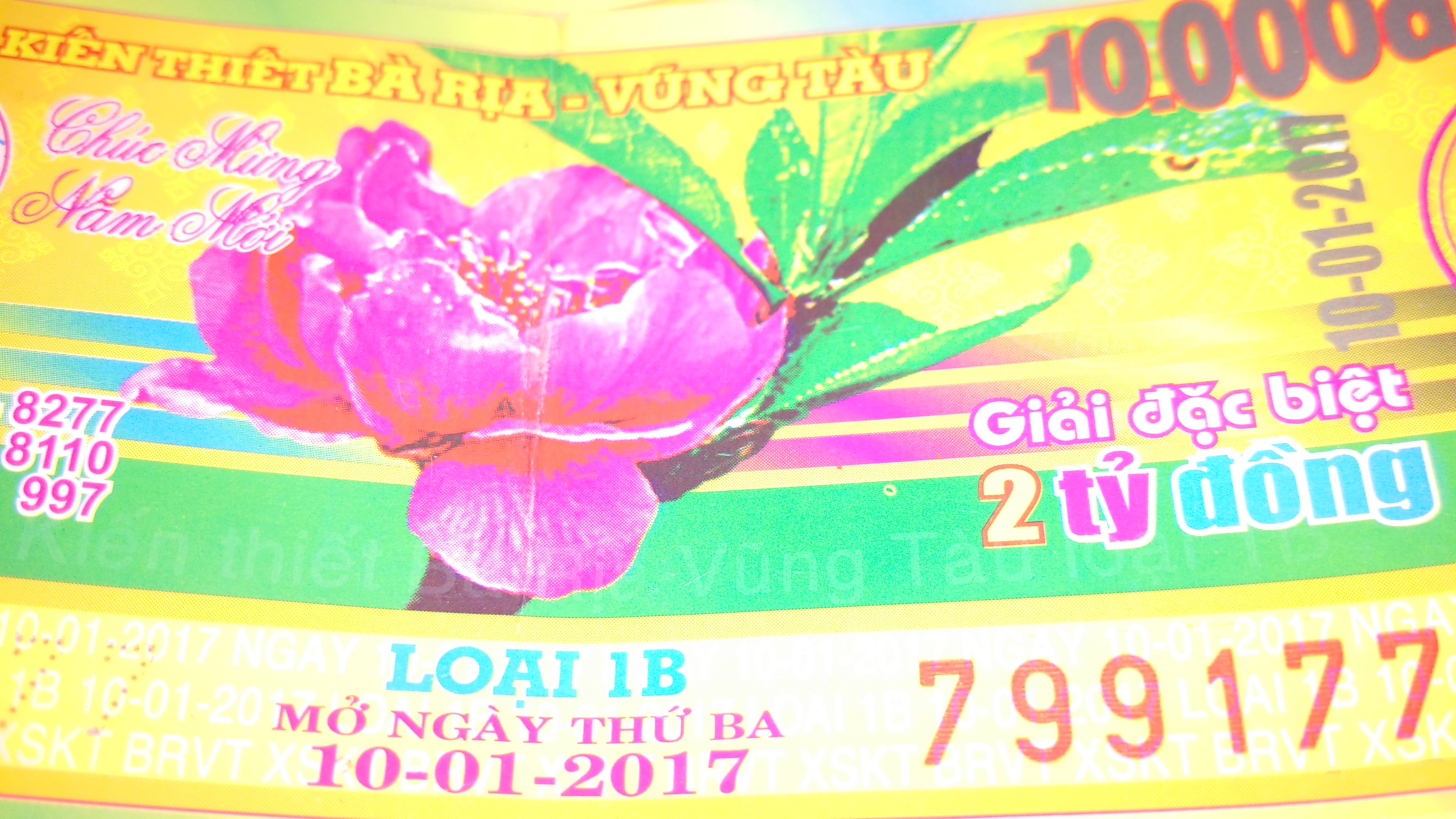 IMG_20170110_162328.jpg