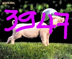 IMG_20171120_132000.jpg