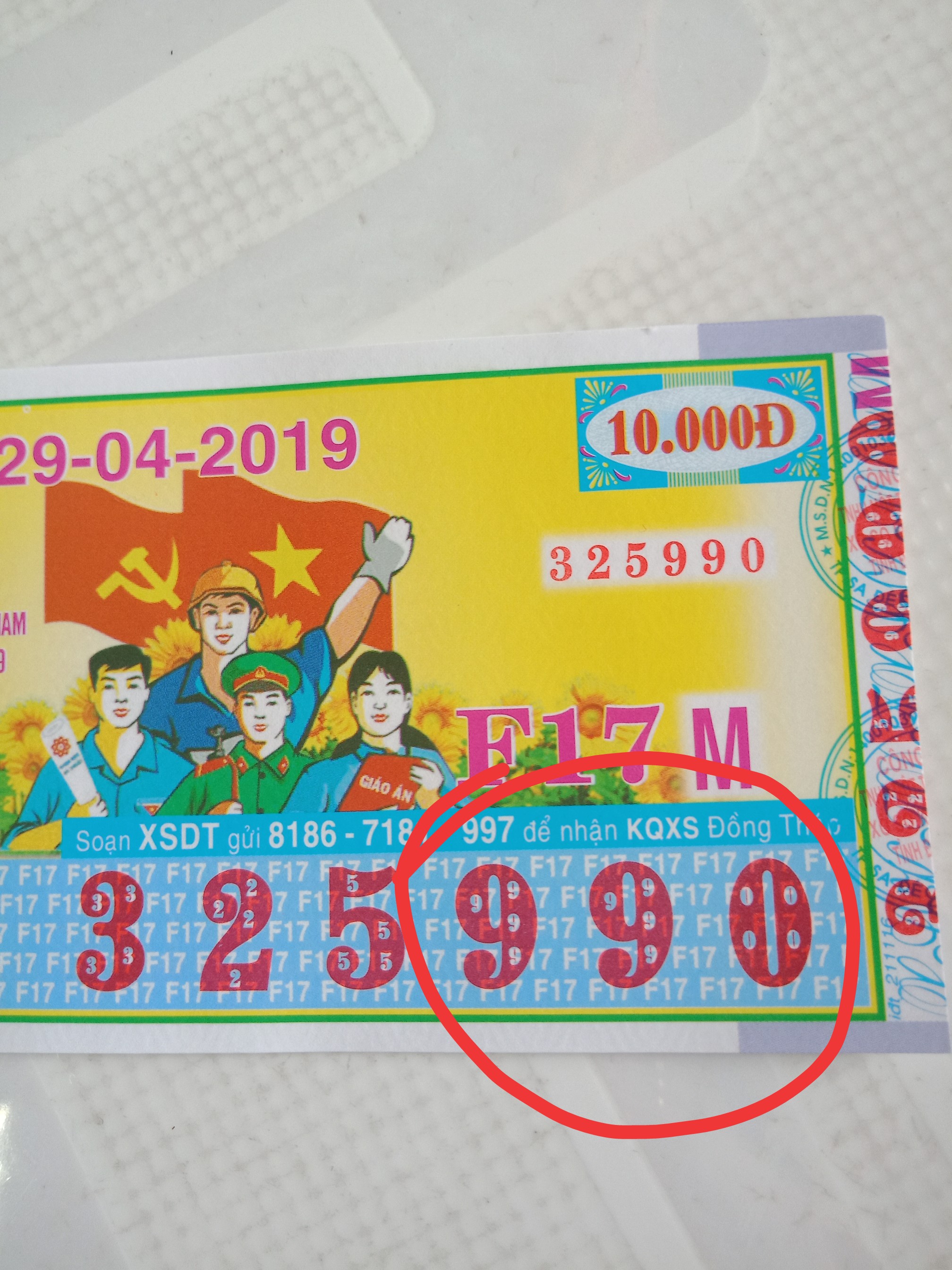 IMG_20190429_120533.jpg