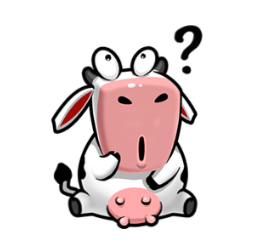 IMG_3937.PNG