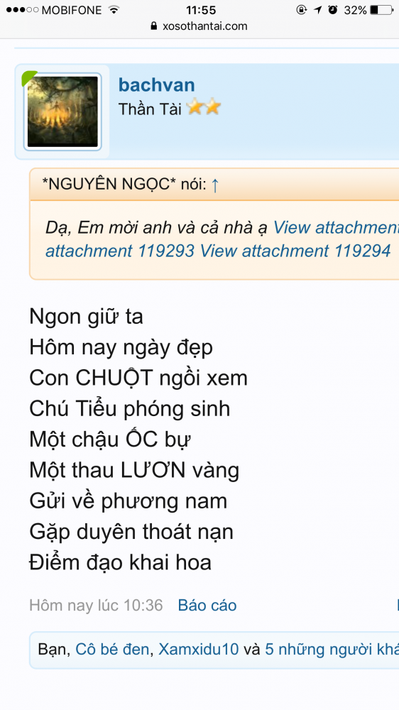 IMG_4078.PNG