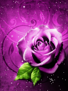 IMG_4141.GIF