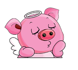 IMG_4278.PNG