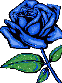 IMG_4299.GIF