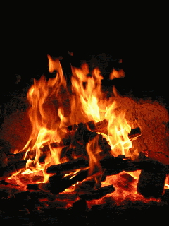 IMG_5426.GIF