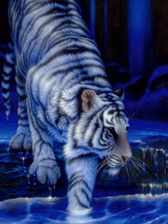 IMG_5731.GIF
