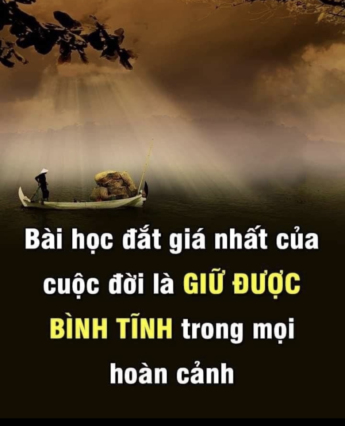 IMG_5883.jpeg