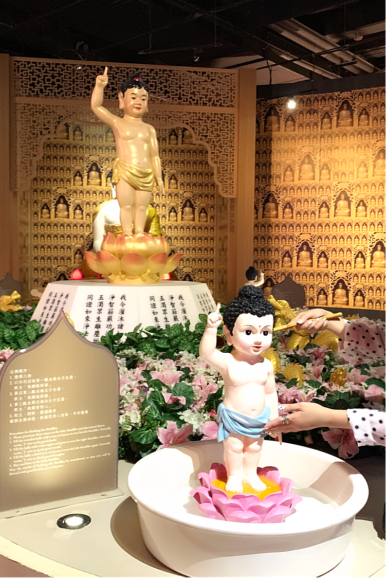 IMG_6157.PNG