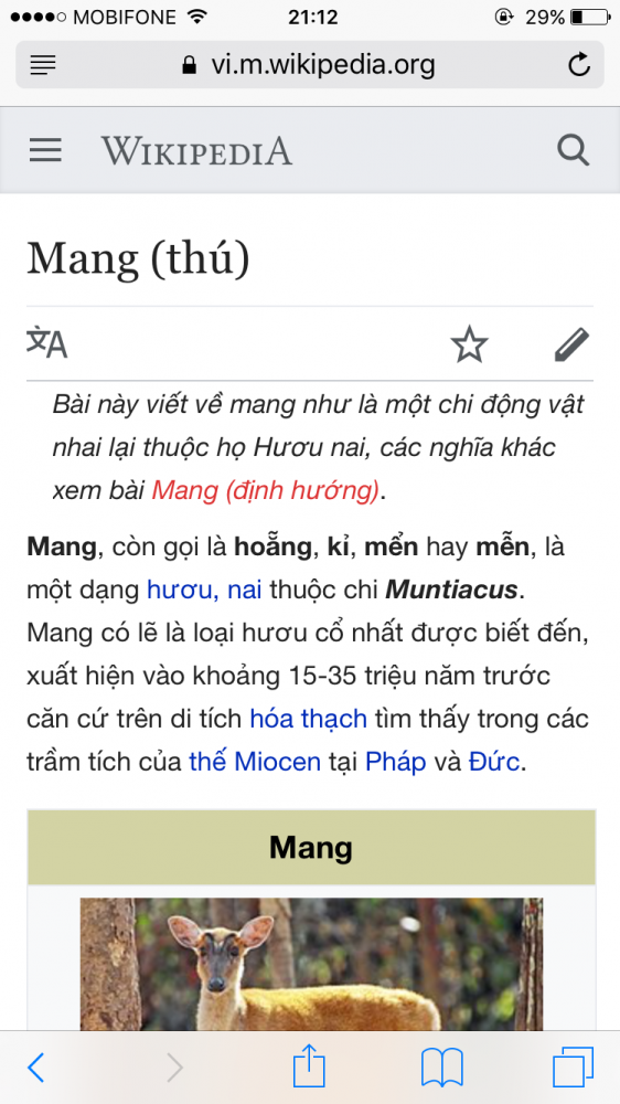 IMG_6489.PNG