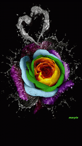 IMG_6648.GIF