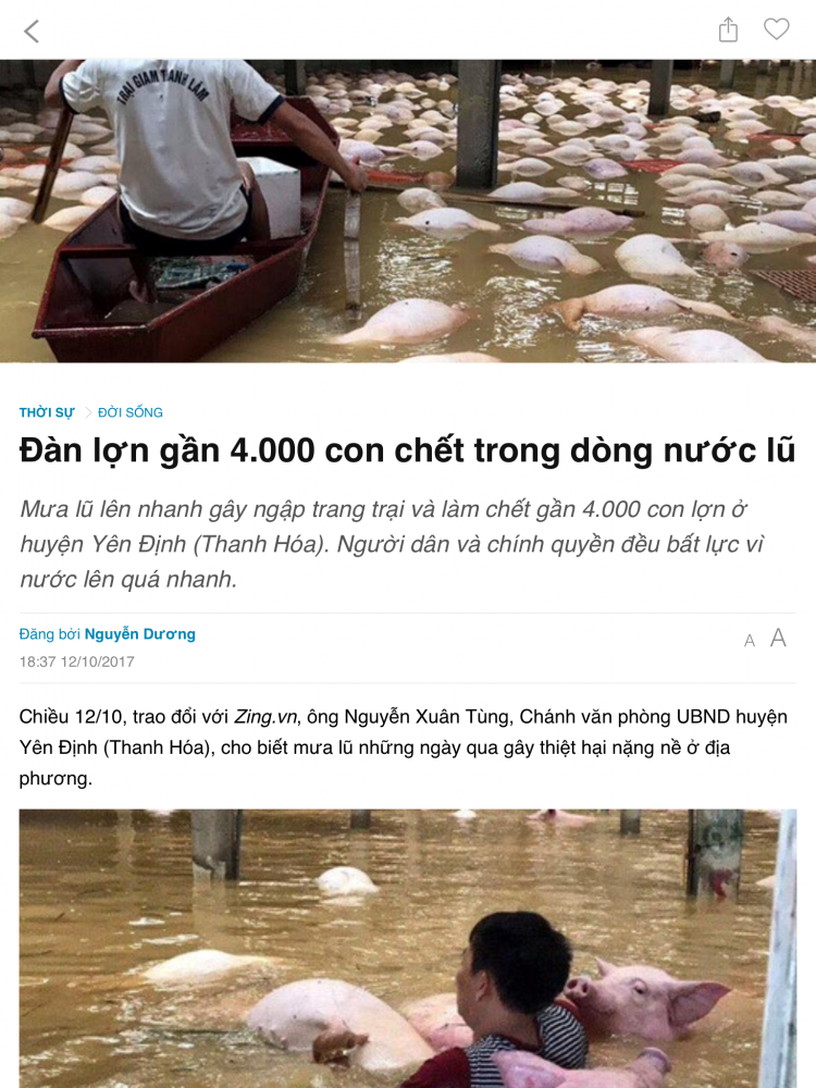 IMG_6828.PNG