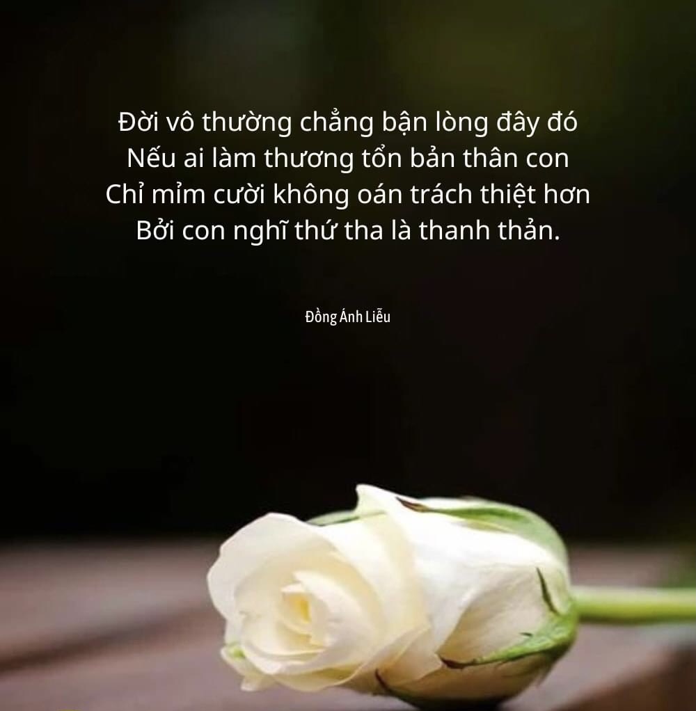 IMG_6928.jpeg
